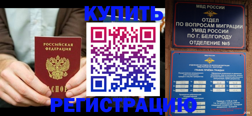 прописка 2025 в Светогорске